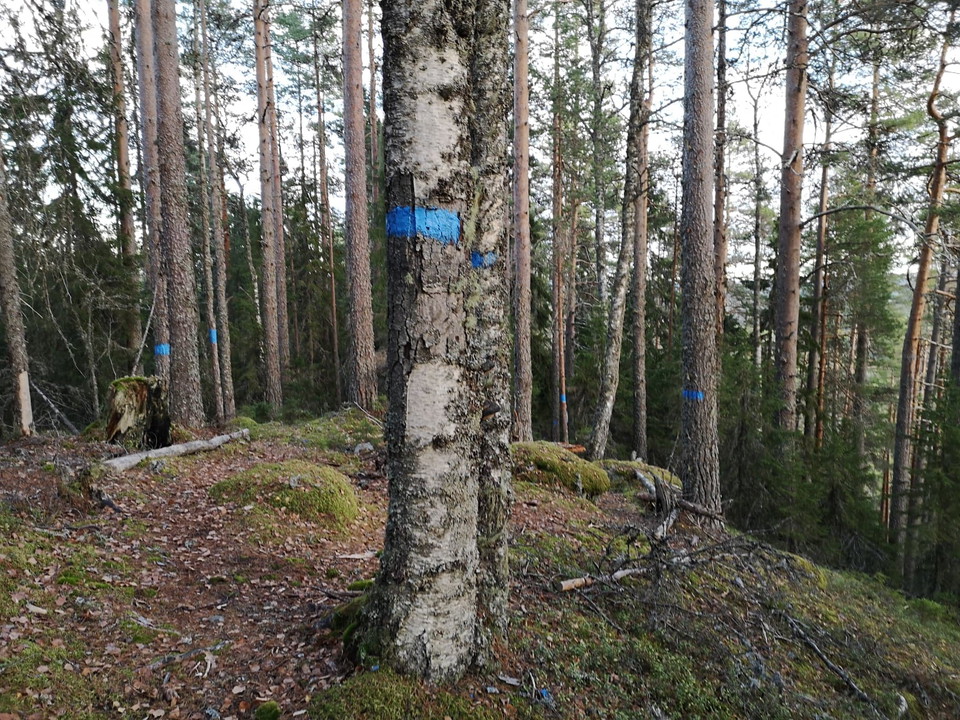 På vägen ner, lederna delas här, den norra mot vänster, den södra mot höger.