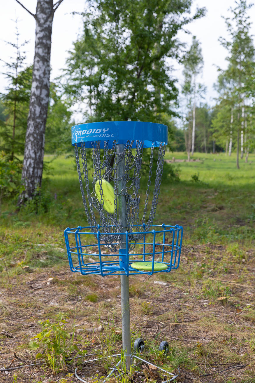 En disc landar i en korg 