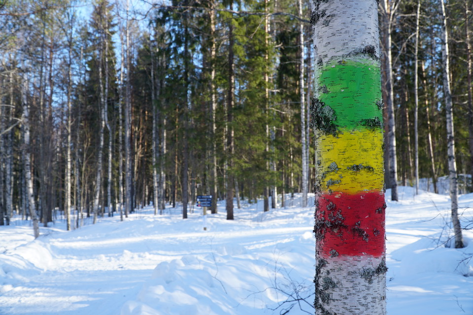 Color marking on the trees shows the different trails
