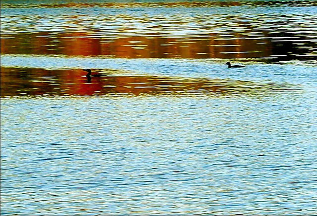 Bad, sandstrand, brygga - ljuvligt invid Velamsunds gård