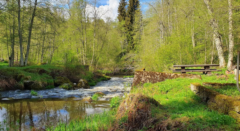 Kvarnruin på väg mot Almbacken