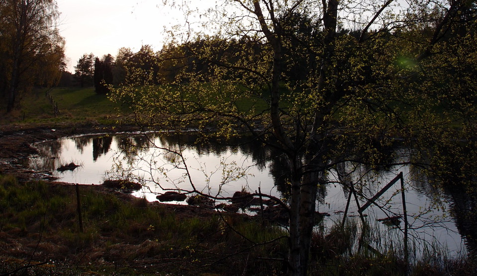 Västra Långängskärret. Foto Lidingö stad