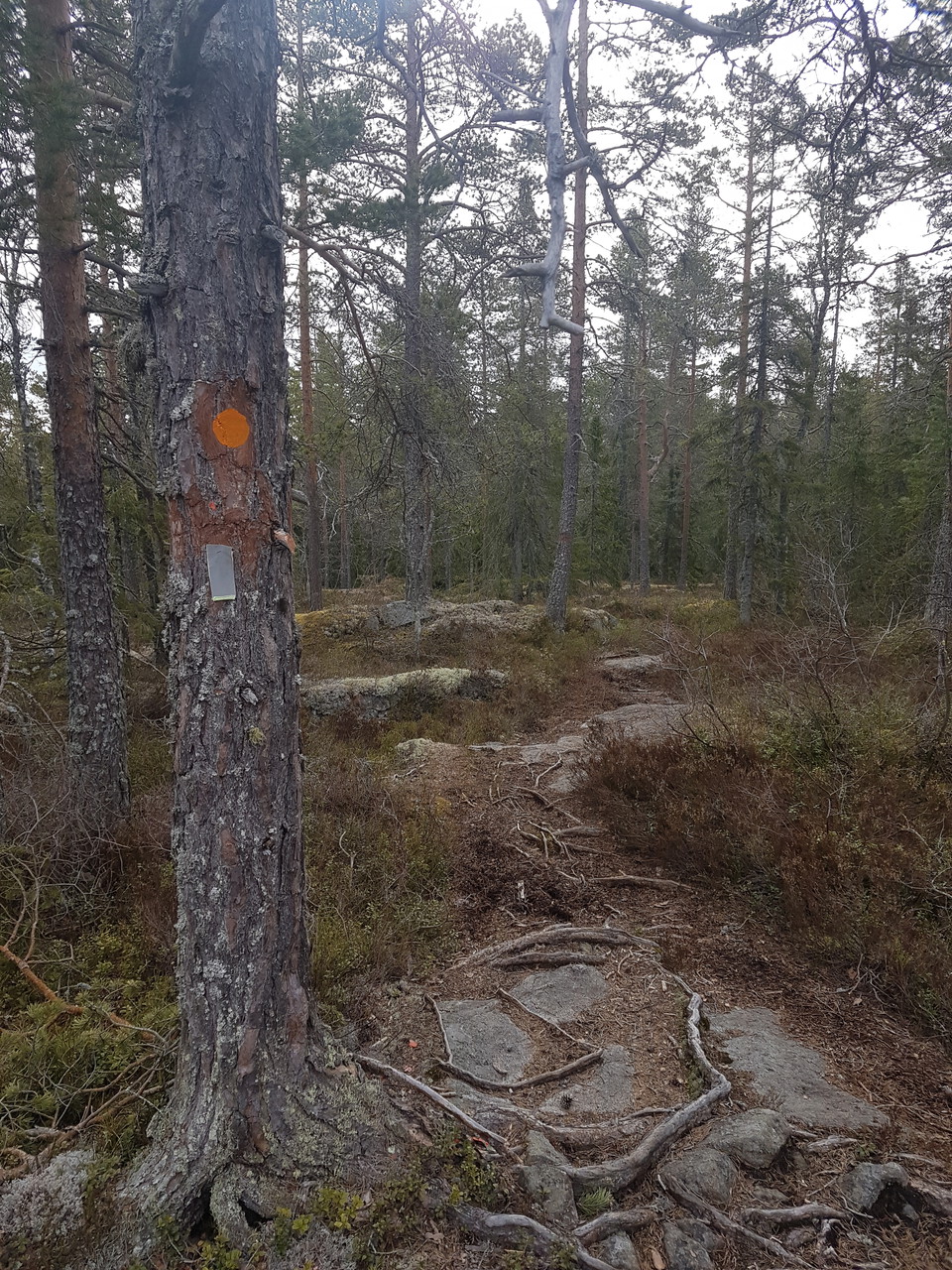 Vandringsled med ledmarkering