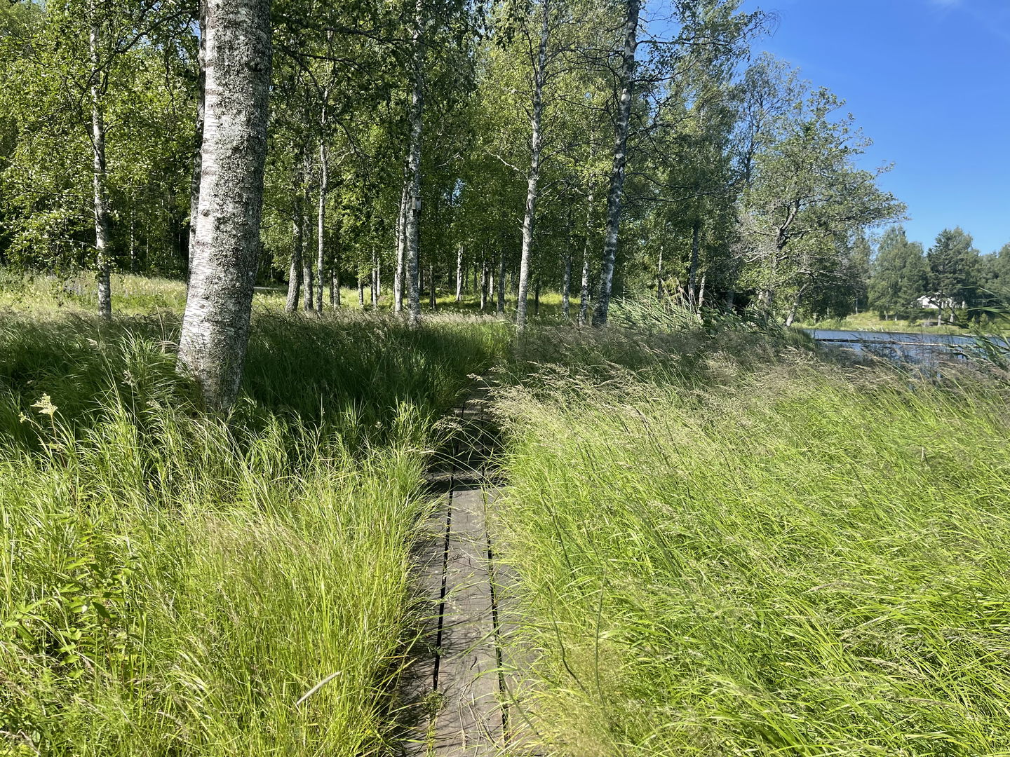 Längs med stranden