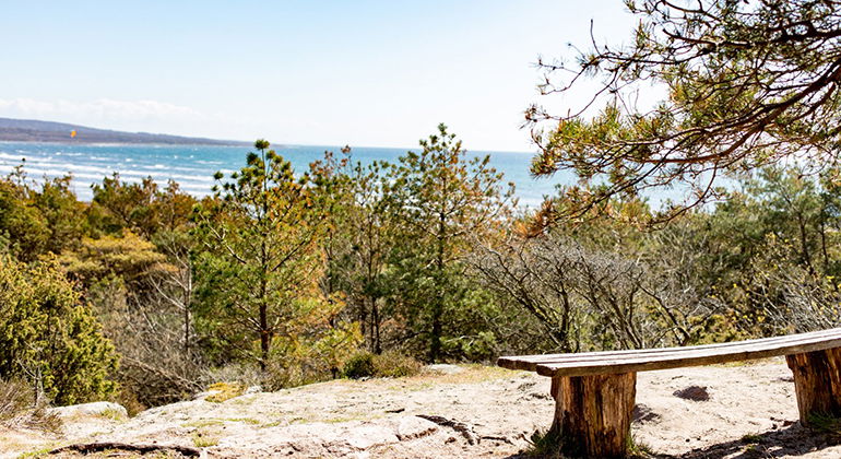 Bänk med utsikt över havet