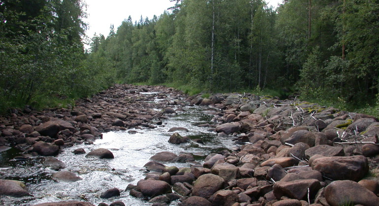 Hagfors
