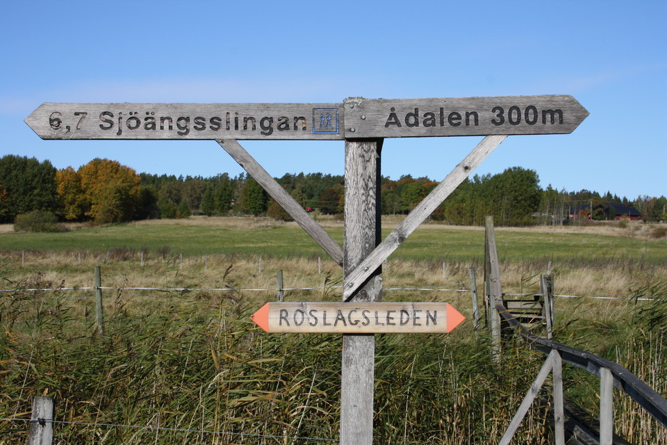 Take a tour along Sjöängsslingan to experience the bird life at thelak meadow. 
