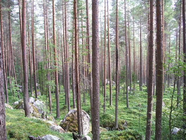 Långstrandberget