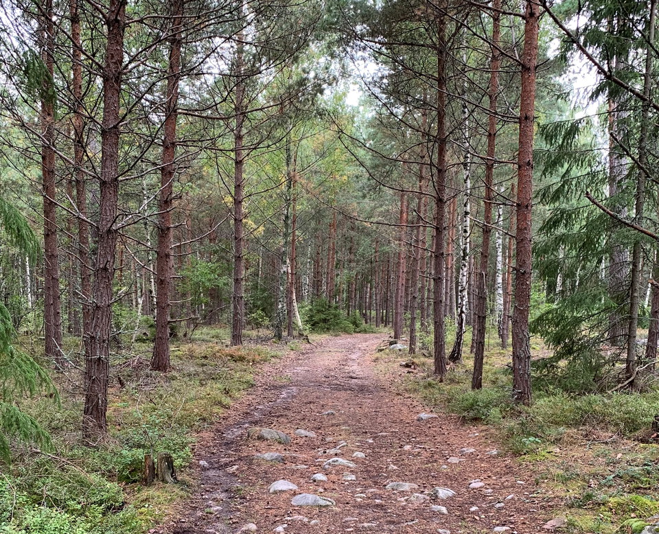 The trail is easy to find and easy to follow.