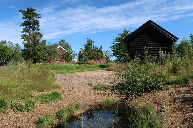 The nature parc, Viking square, Askim Museum