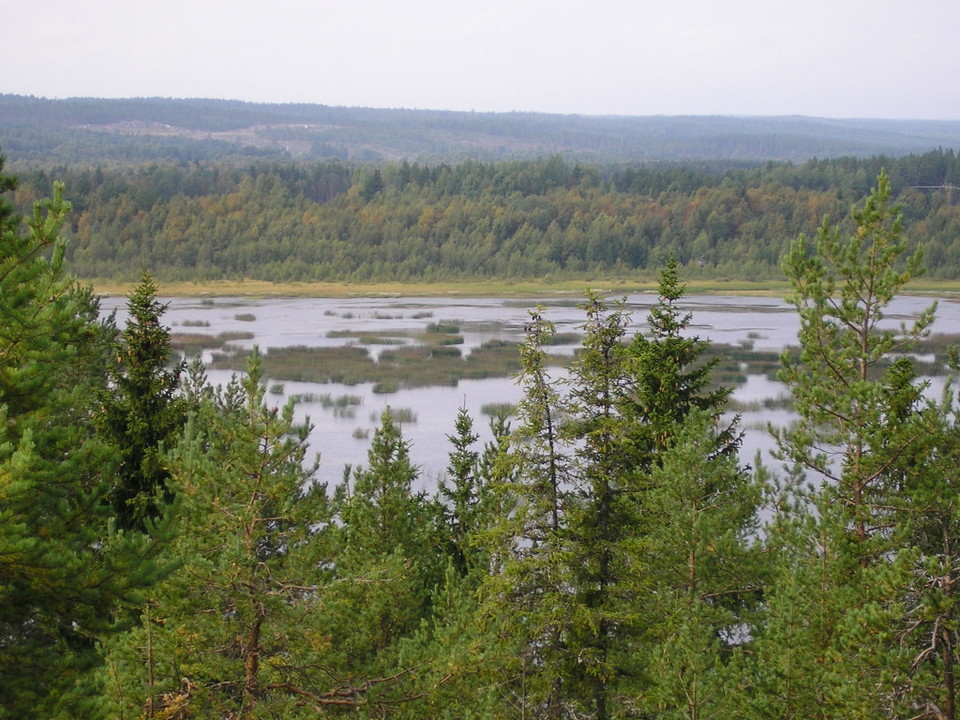 Innerviksfjärdarnas naturreservat