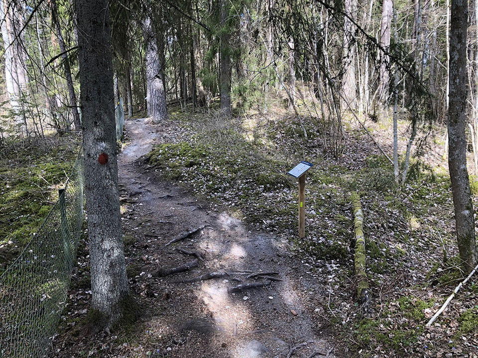 Informationstavla längs med stig med rötter och stenar.