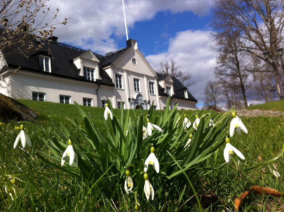 Hammarskogs Herrgård med snödroppar i förgrunden.