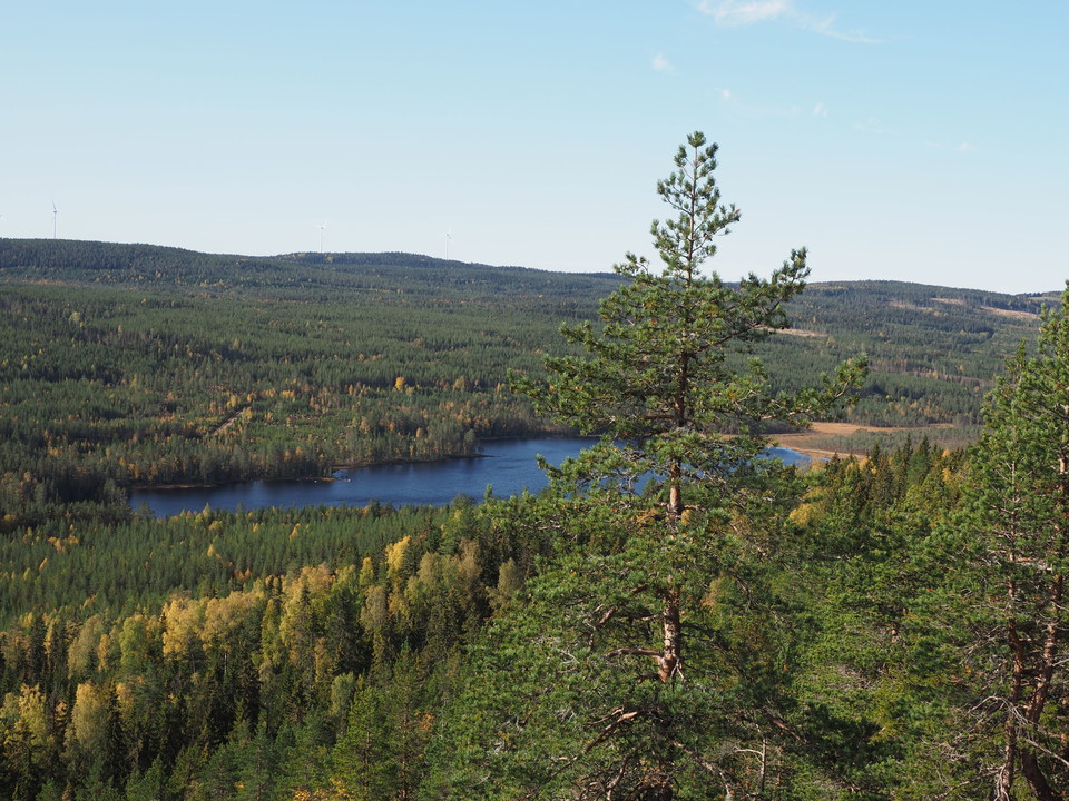 Vy över Ärten