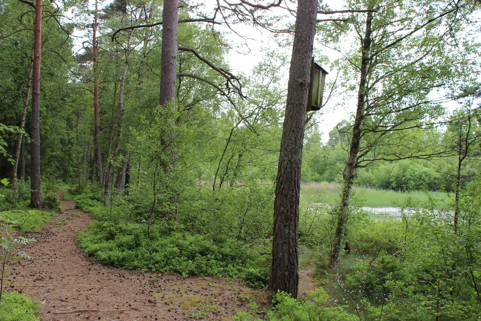 Biskopsgölen