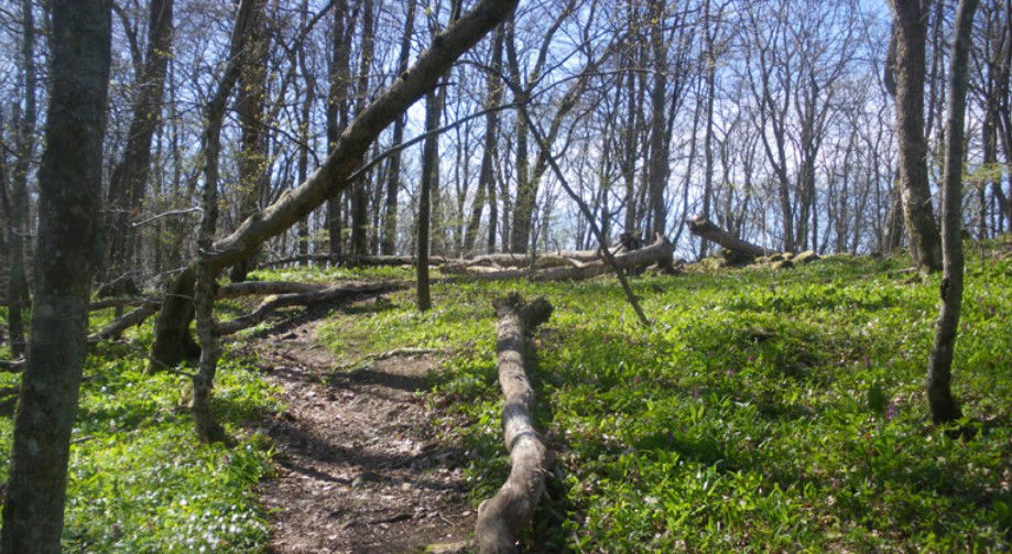 Södra Hultarp, Naturreservat Höör