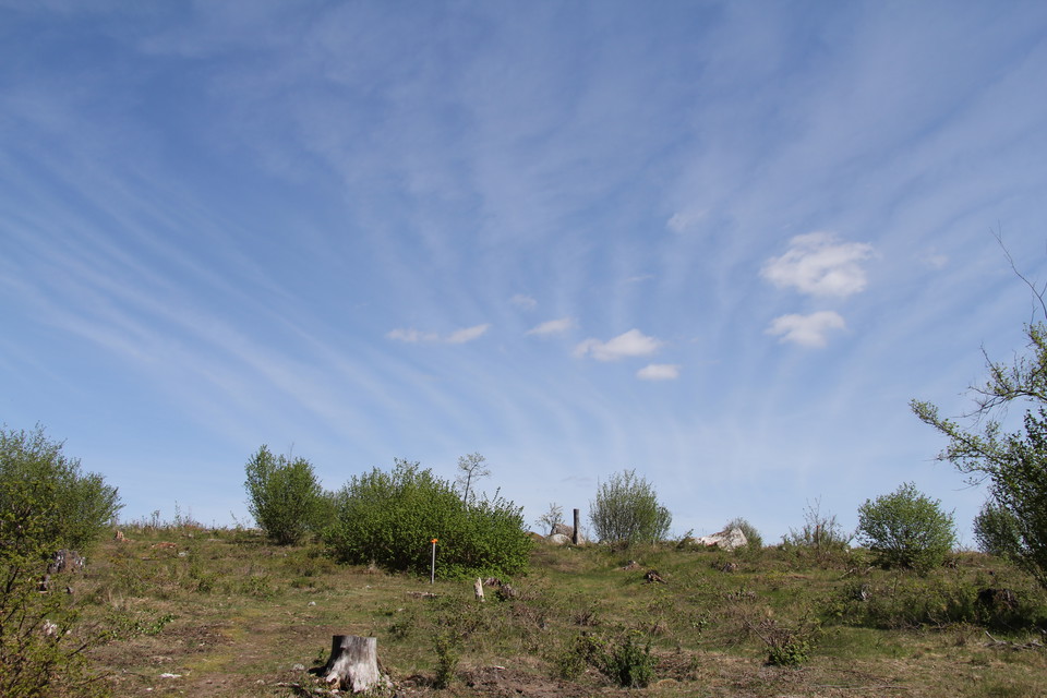 Molnslöjor på en blå himmel.