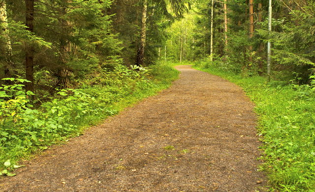 Malmslätts elljusspår (2,7 km)
