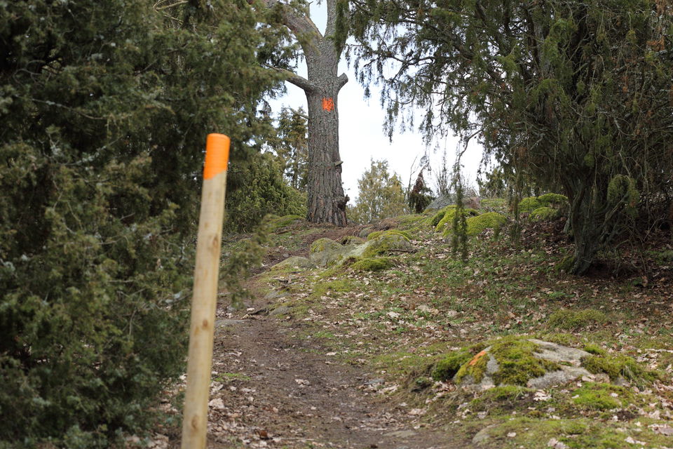 Stig Skärgårdsparken 