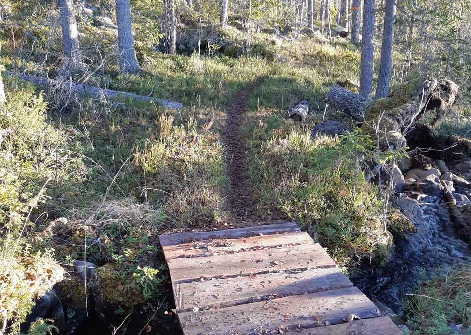 Bäckpassage i Laxtjärns-trakten.