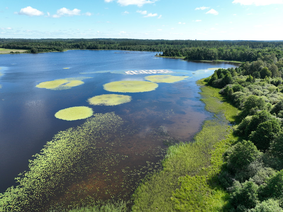 Cirkulära bestånd med sjögull