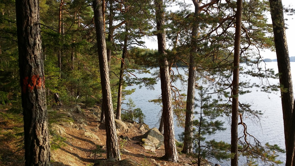 Svartaberget vid Asasjön