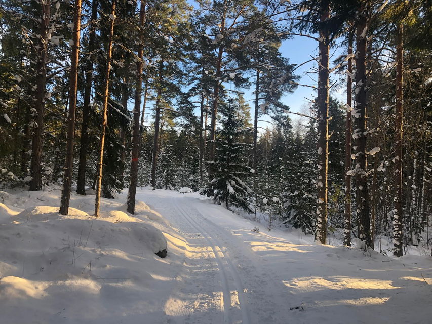 Skidspår 5 km spåret Hemlingby