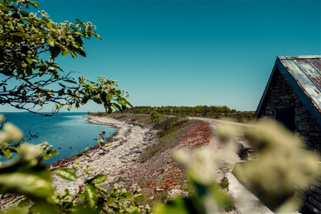 Djupviksrundan - upplev Ölands vackra stenkust