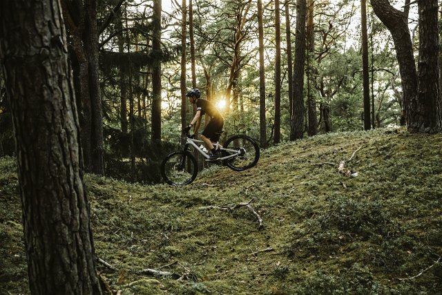 Mountainbike på destination Rönneå och Ringsjön