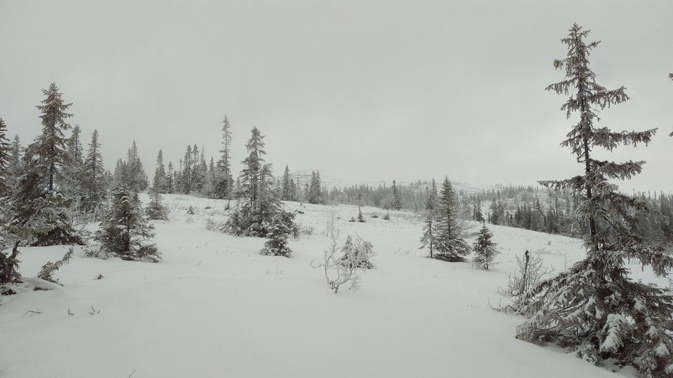 Fjällsluttning om vintern