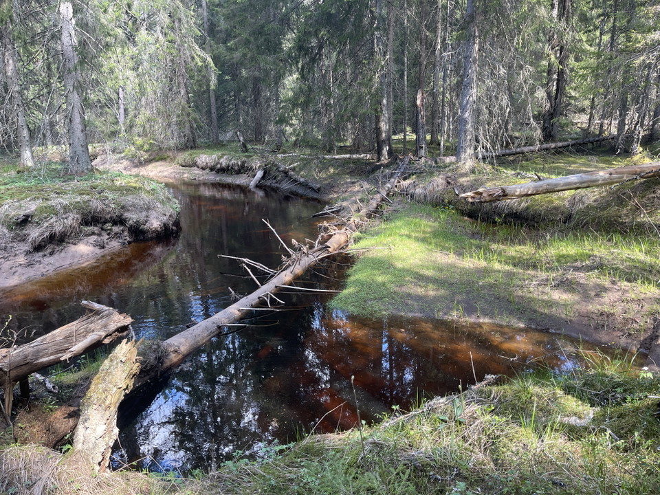 Å med sandbank.