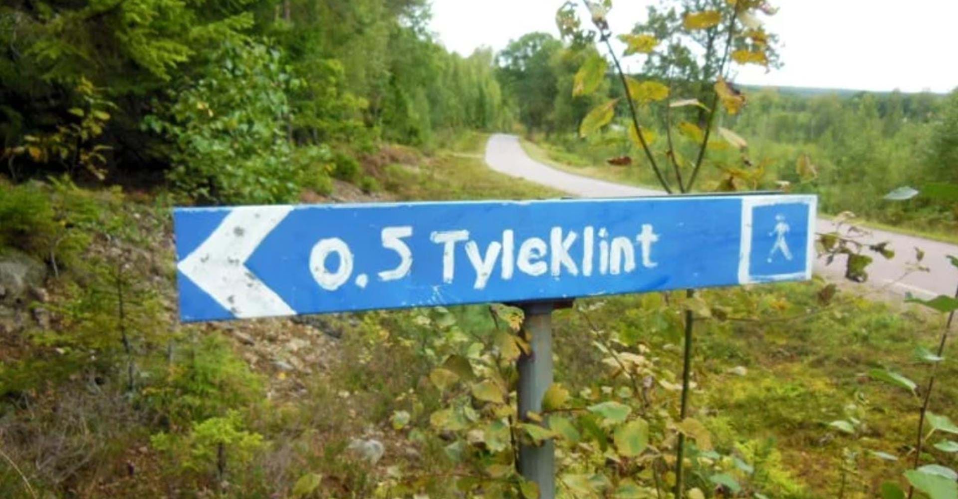 Tyleklint, Skönnarboleden