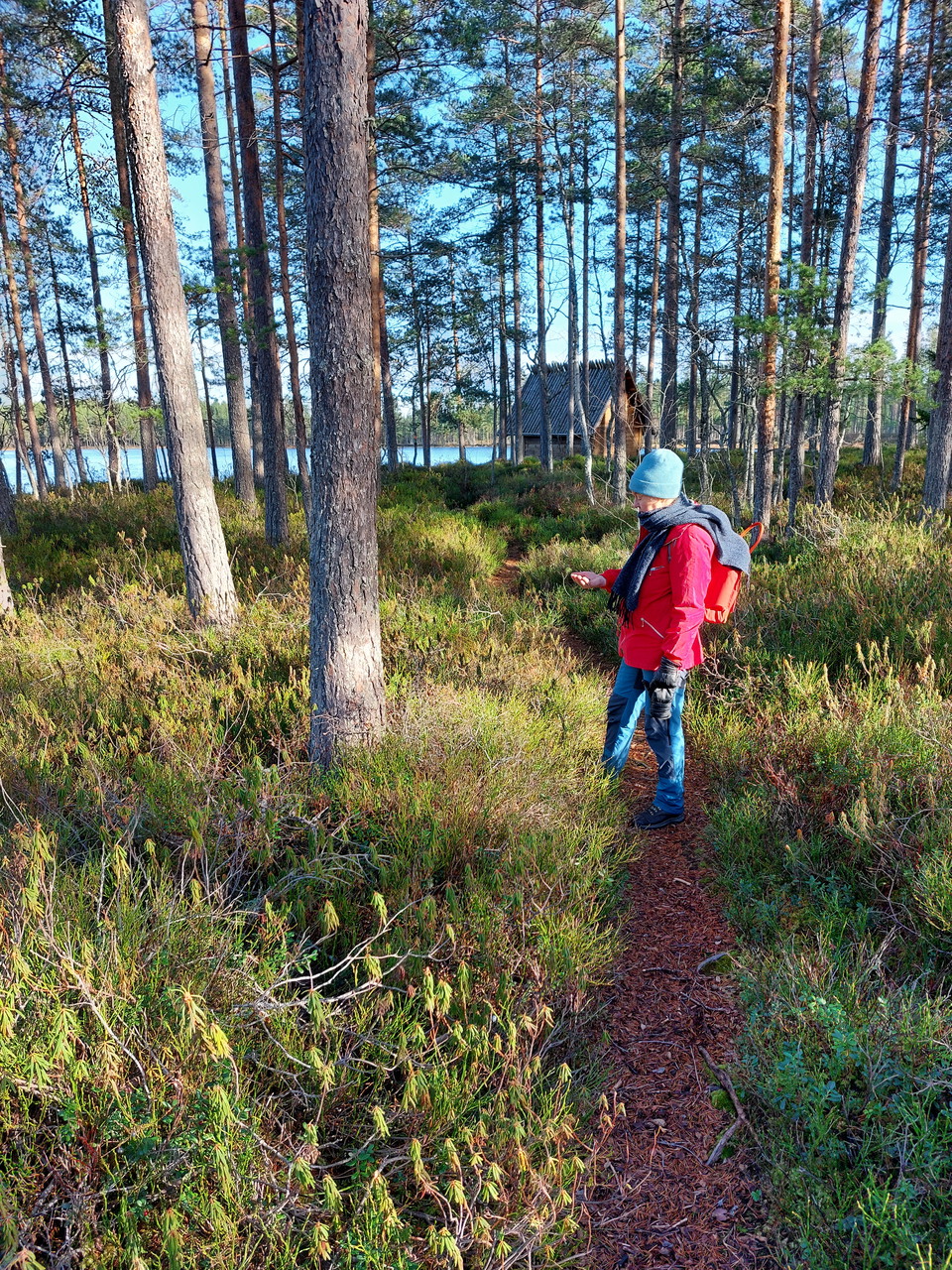 slogboden vid Svarttjärn