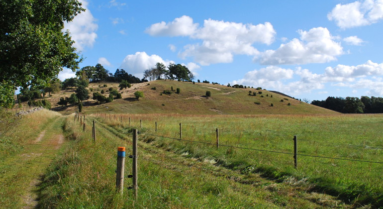 Vandringsled i Brösarps norra backar.