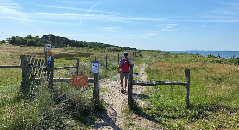 Betade strandängar.