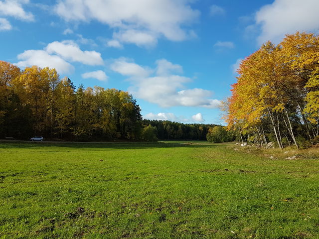 Rinkebyskogen - Altorp