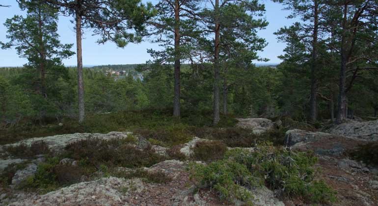 Utsikt över lantlig bebyggelse från Skämningön.