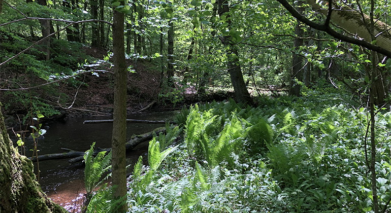 Skåneleden  mellan Vantalängan och Alunbruket.