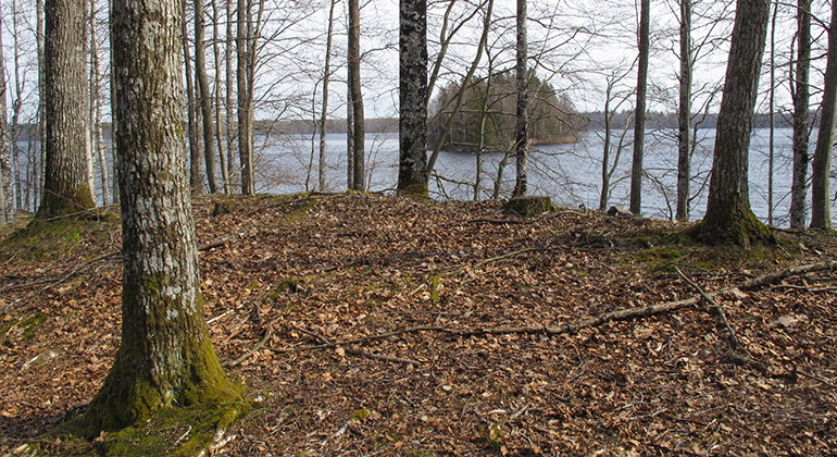 Foto: Länsstyrelsen i Kronobergs län