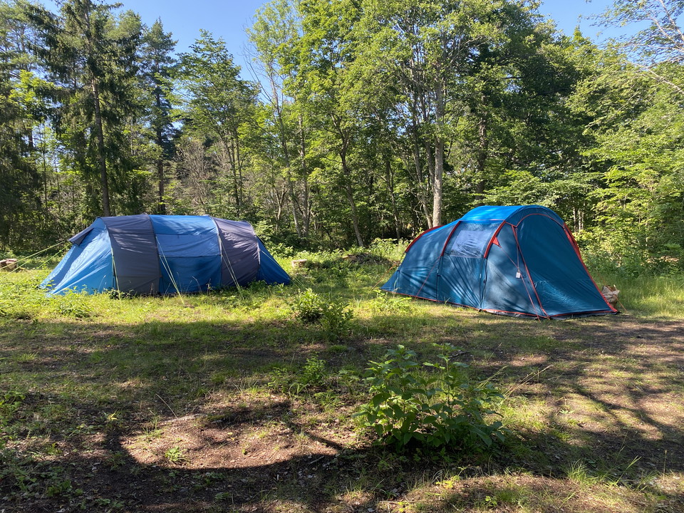 Tält på campingplats