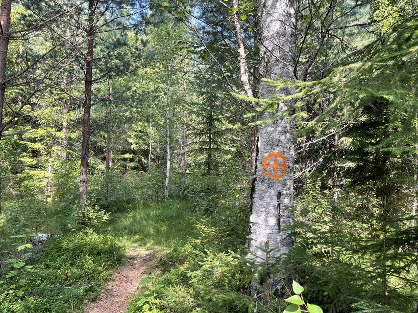 Längs med stigen