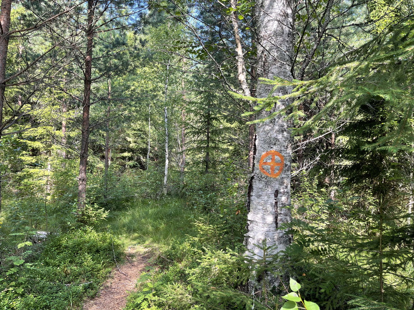 Längs med stigen