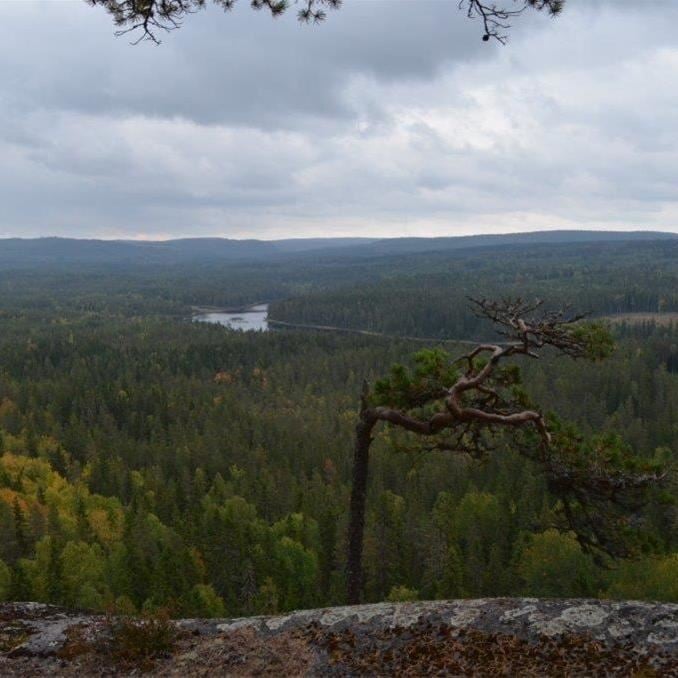 Milsvid utsikt från Tansvägga