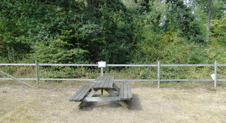 Rastplats vid parkeringen.