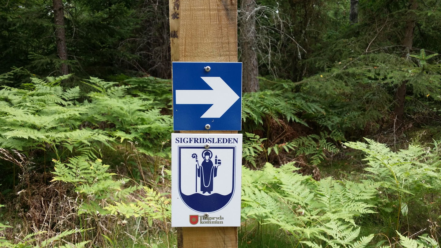 Ledanslutning markerad av Tingsryd kommun