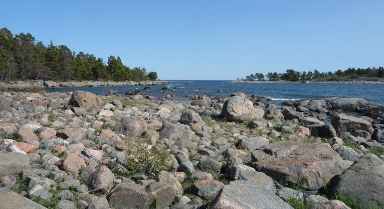Agön-Kråköns naturreservat består av flera öar.
