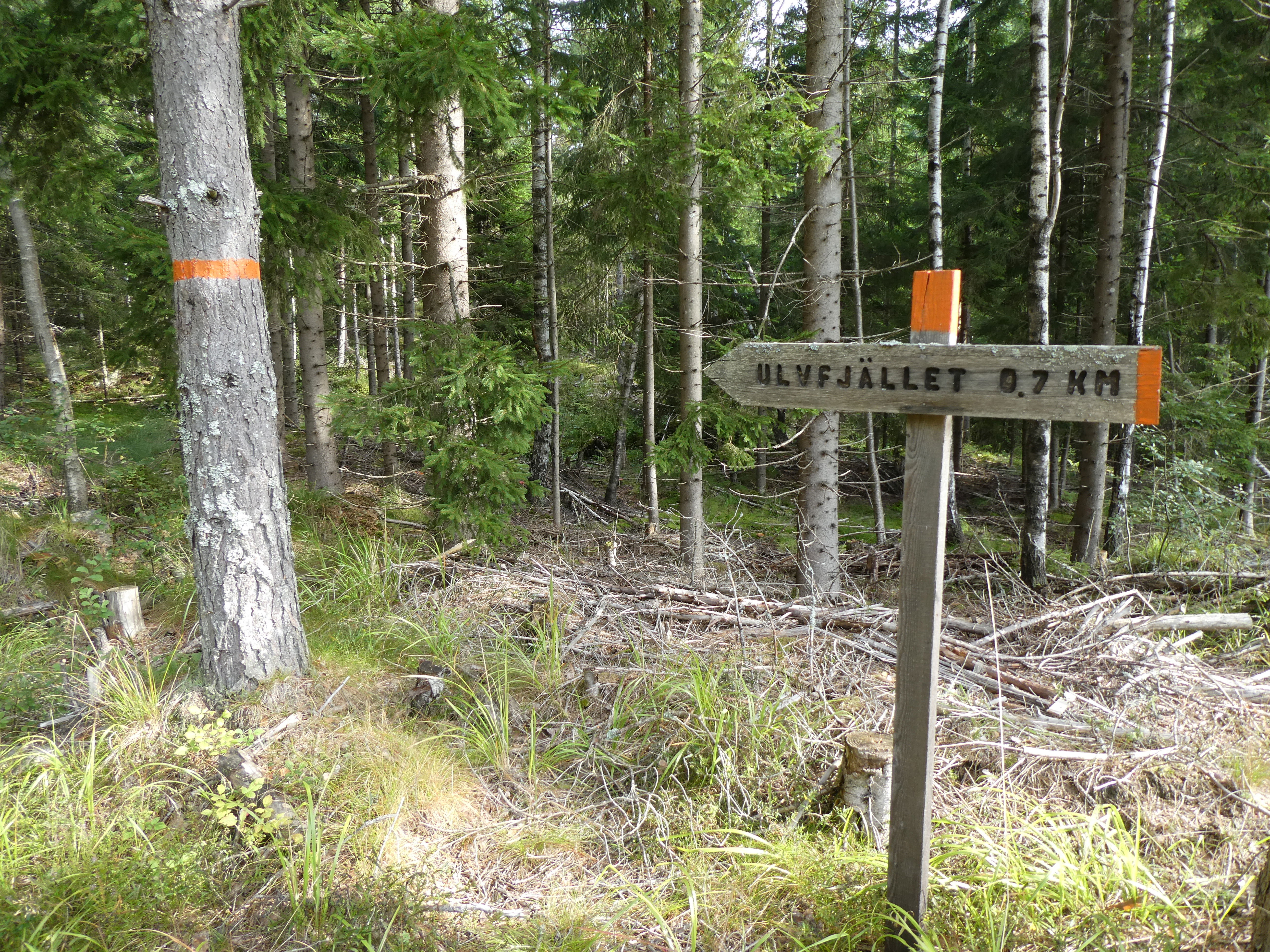 Led Ulvfjället