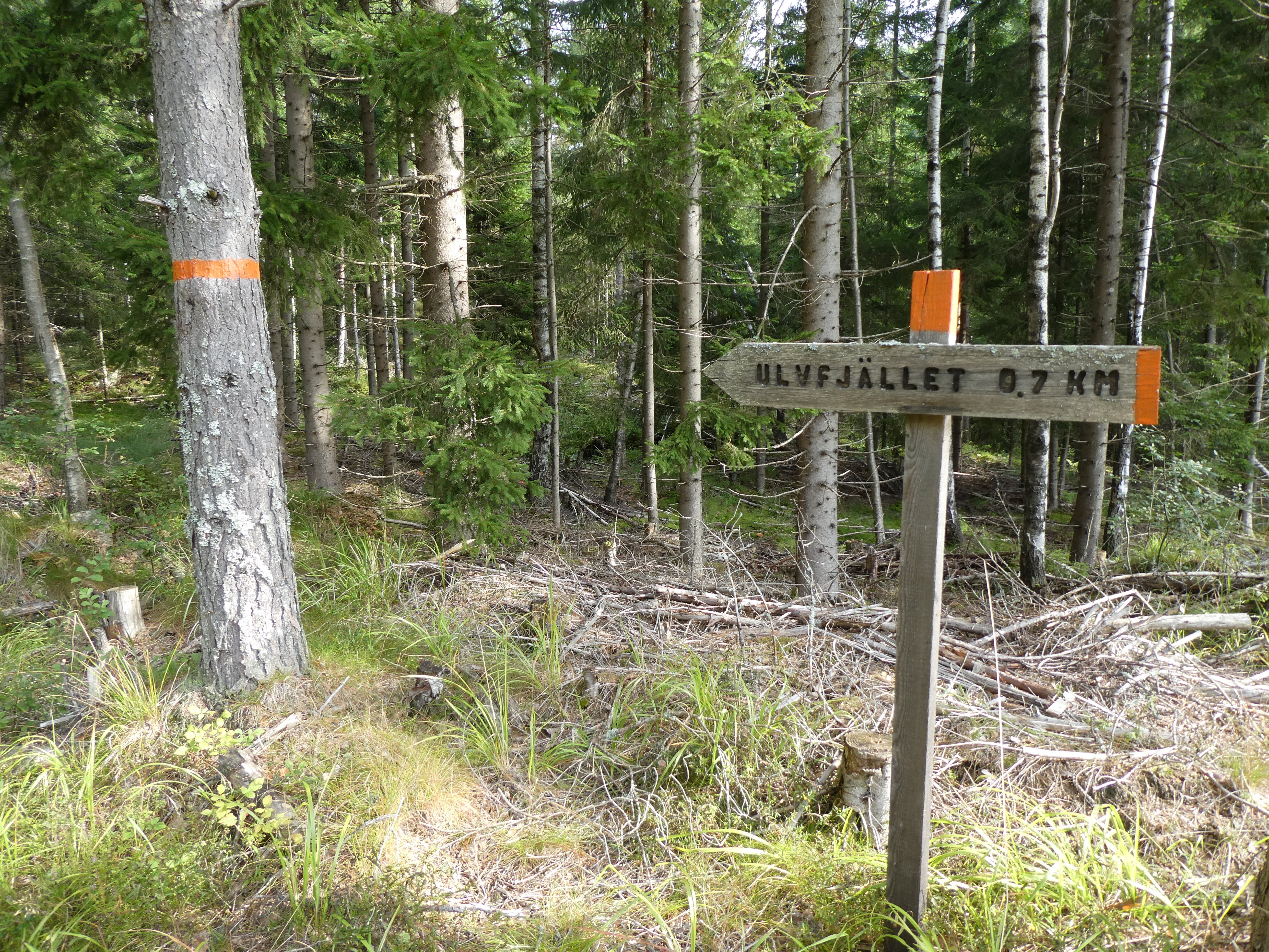 Ledskylt i trä visar 0,7 km mot Ulvfjället.