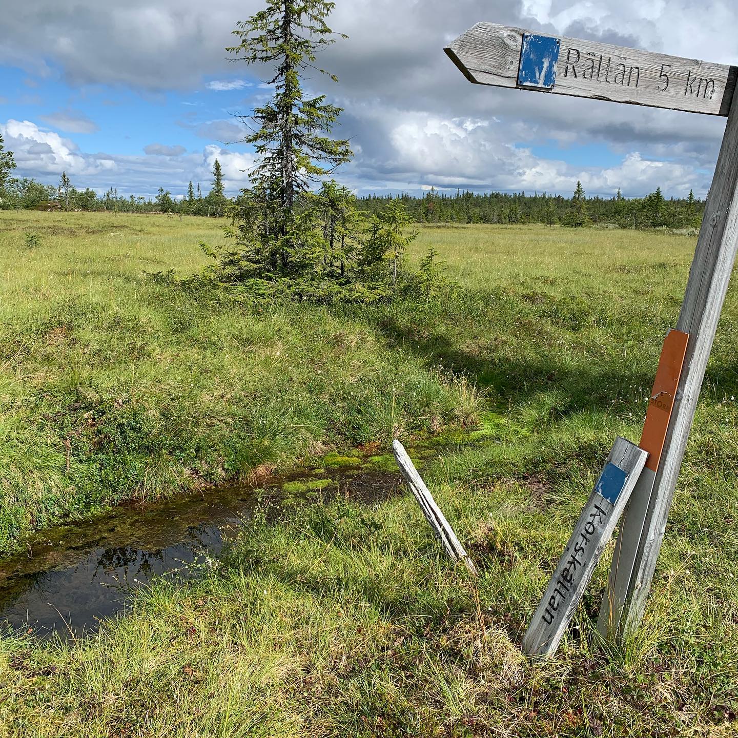 Självaste källan, Korskälla