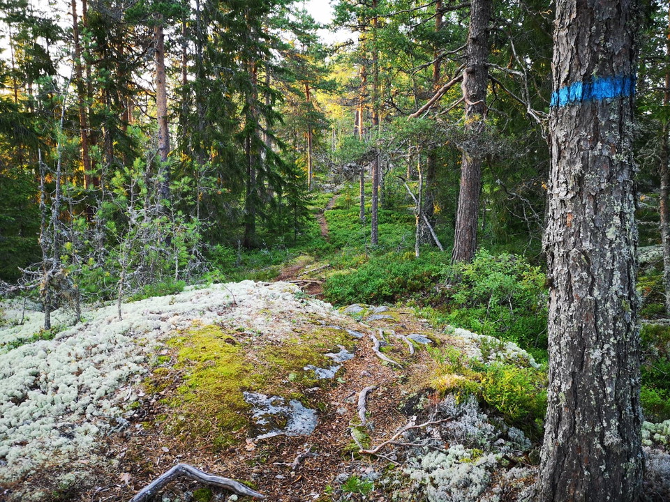 Stigen går på hällar på slutet